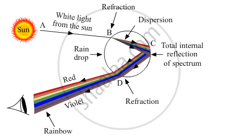 What Is A Rainbow Draw A Labelled Diagram To Show The Formation Of A