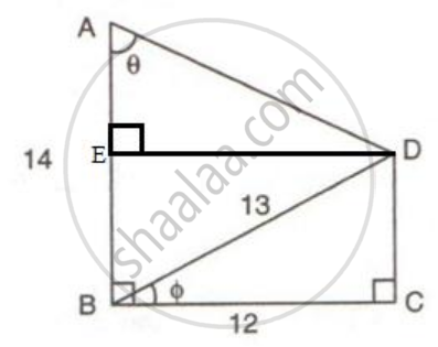 Using The Measurements Given In The Following Figure Find The Value Of