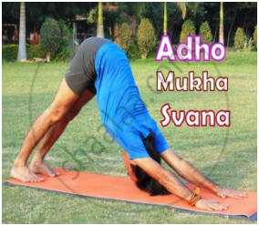 An Asana Is A Body Posture Originally And Still A General Term For A