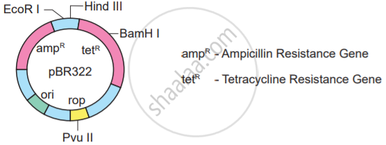 what-do-you-know-about-the-word-pbr332-biology-botany-and-zoology