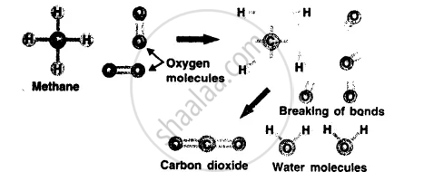 What Happens During a Chemical Reaction ? - Chemistry | Shaalaa.com