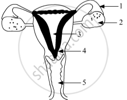 Identify the Given Diagram. Name the Parts 1 to 5. - Science | Shaalaa.com