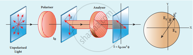 state-and-obtain-malus-law-physics-shaalaa