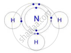 State the Type of Bonding Present in Ammonia, Show by a Diagram ...