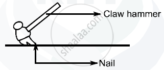 claw hammer diagram