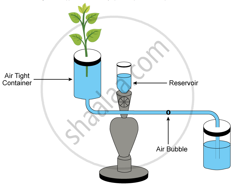 Given Below is the Diagram of an Apparatus Used to Study a Particular ...