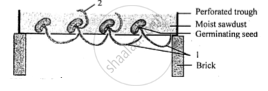 Given Below is an Experiment Setup to Demonstrate a Particualr Tropic ...