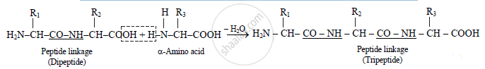 how-is-tripeptide-formed-chemistry-shaalaa