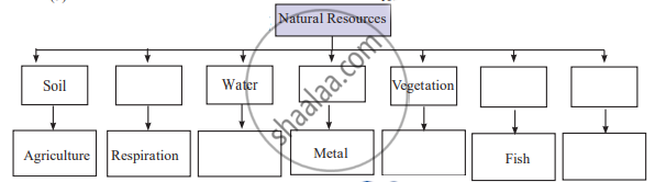 classification-of-resources-flow-chart