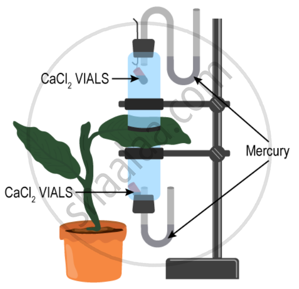 The Apparatus Shown in the Following Diagram is Garreau’S Potometer ...